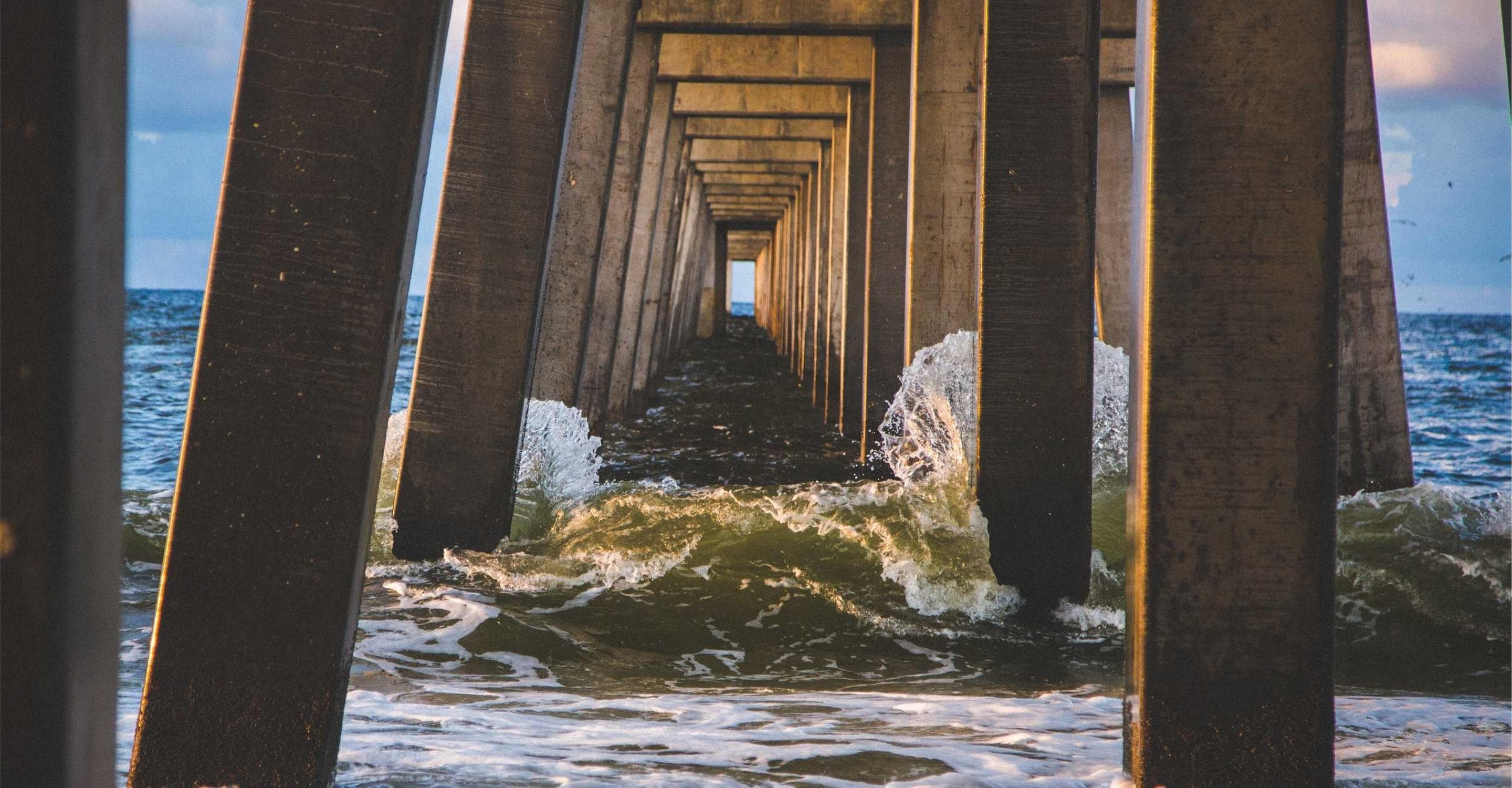 All-Season Collection image