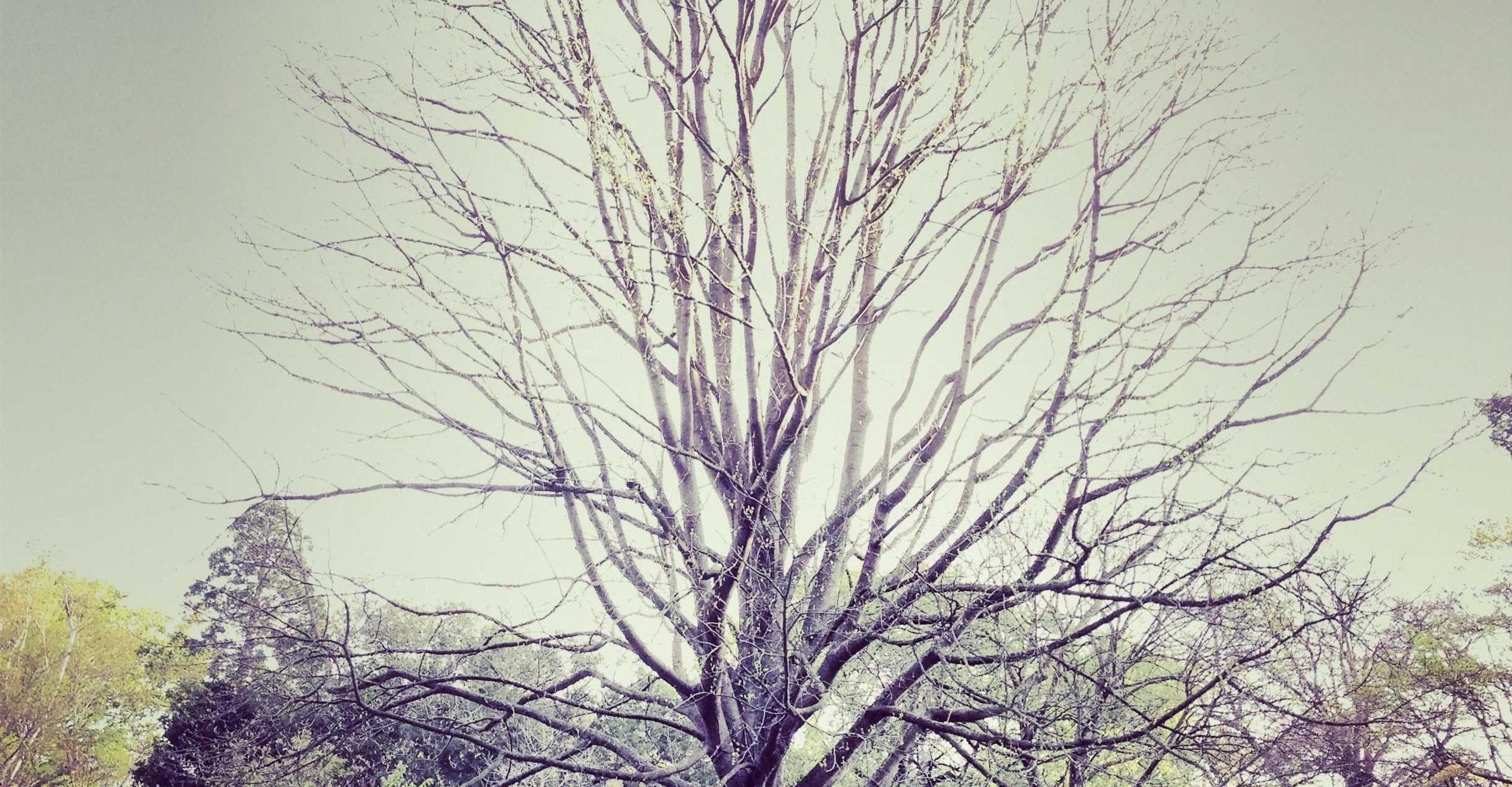 Summer Collection image